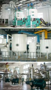 Huatai food and oil machinery is a professional supplier of edible oil processing machine